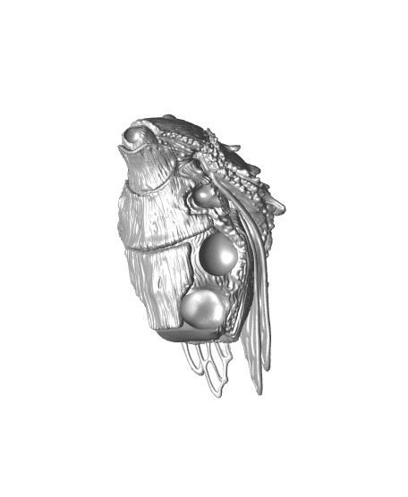 Insectfolk Monster - Dysphania, Fidelium Monstrosity (Pre-supported) 3d model