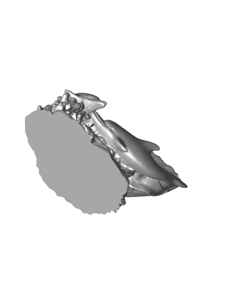 dolphin shell 1 3d model
