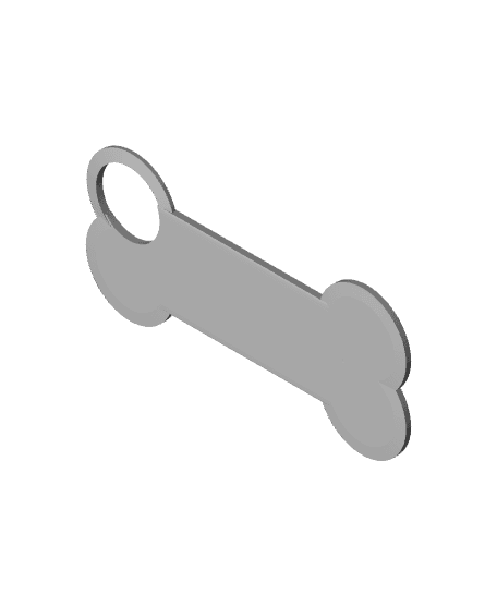 Blank Customizable Dog Tag Keychain 3d model