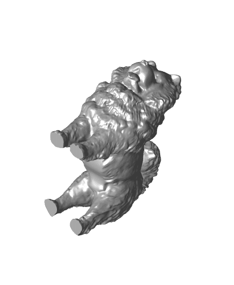 Chow Chow 3d model