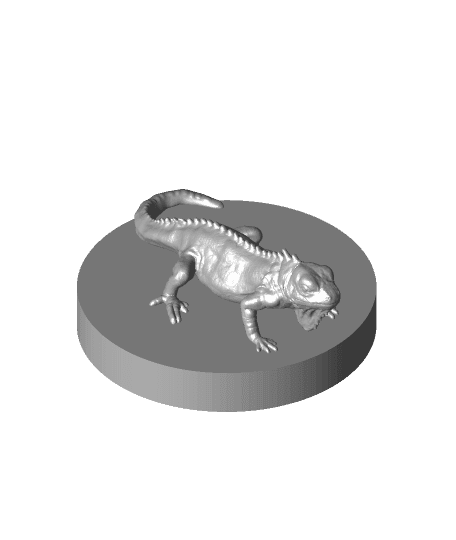 Lizard 3d model