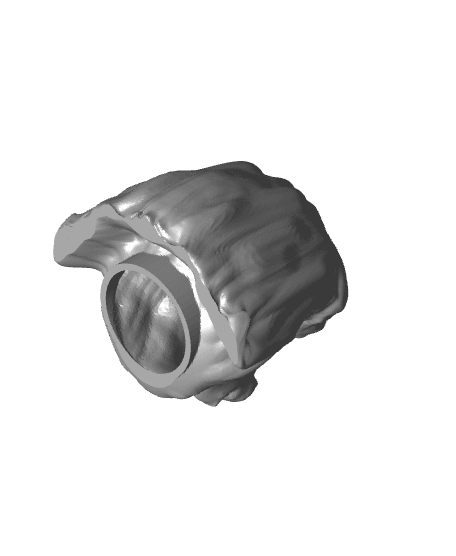 Fun hairy pig head 3d model