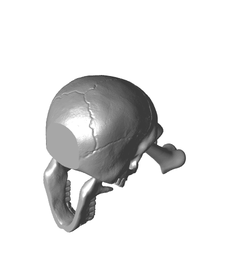 Skull In Love 3d model