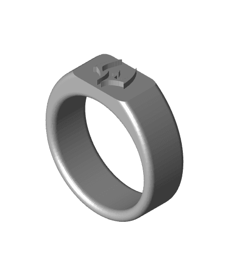 Rings (Anime FanArt) 3d model