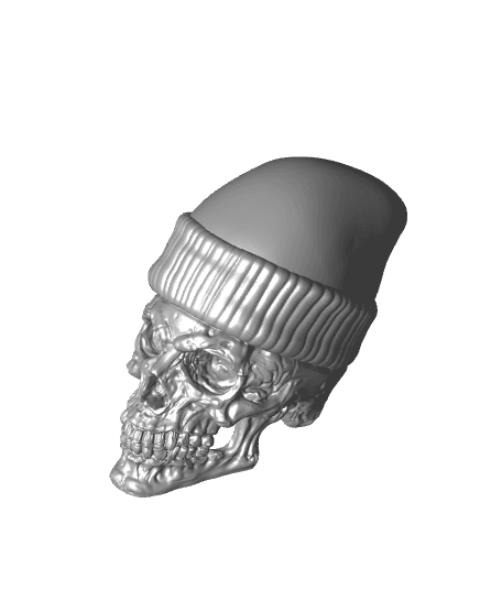 Skull in Beanie - Home Decor 3d model