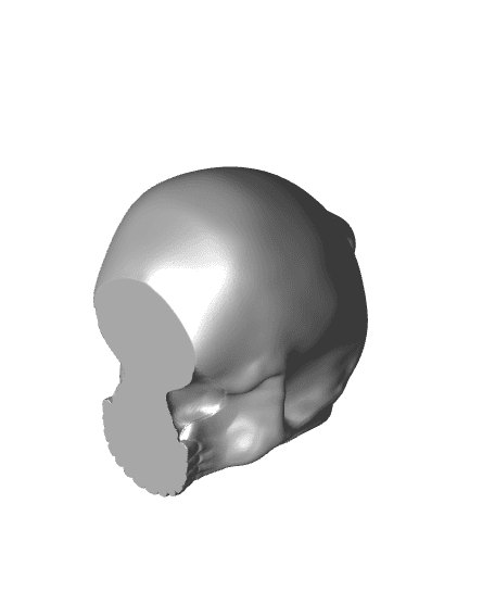 Skull Keychain - Earrings 3d model