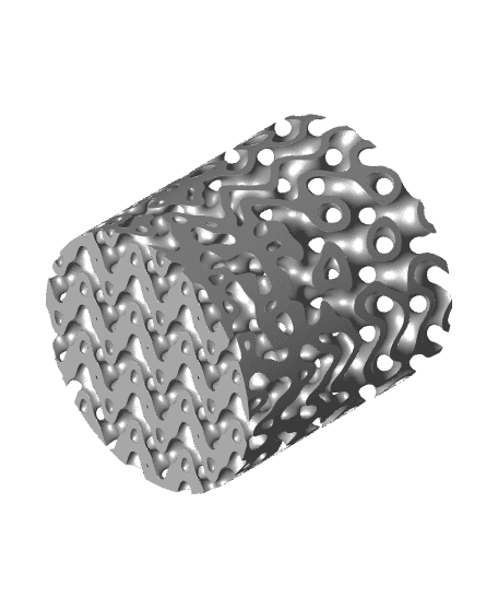SSurface to Gyroid Transition Cylinder 3d model