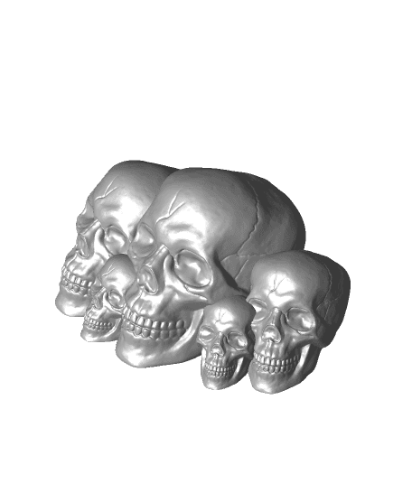 Skull Family 3d model