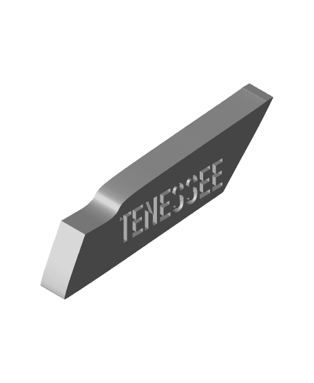 Merica Fridge Magnets - MMU version - TENNESEE  3d model