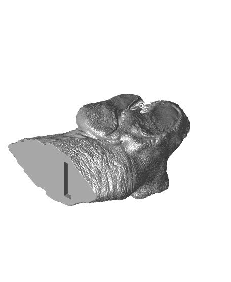DEADNICE - T Rex WALL MOUNT.stl 3d model