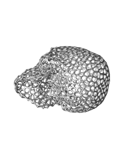 Voronoi Skull 3d model