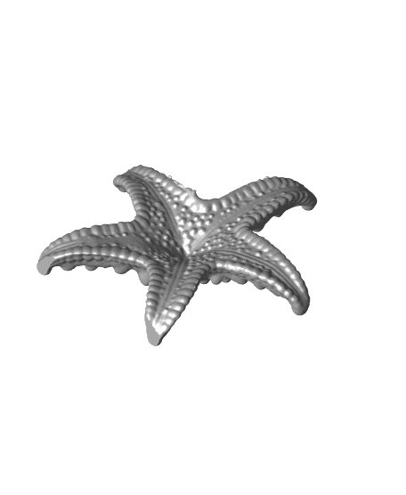 starfish 3d model