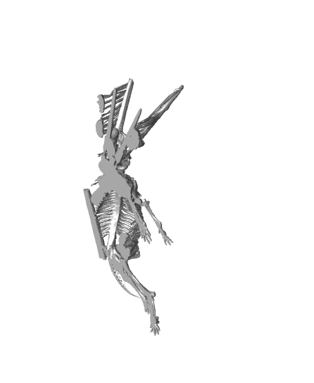 Giant War Elephant Skeleton 3d model