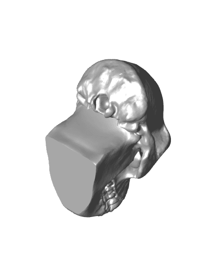 Gorilla Skull (MysticMesh3D) 3d model