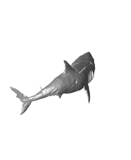 Great Wight Shark (Undead) - Tabletop Miniature (Pre-Supported) 3d model