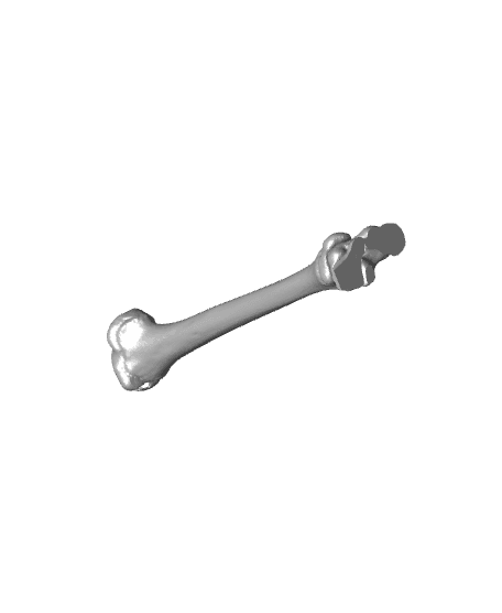 blounts tibia only REAL Bennett remastered.stl 3d model