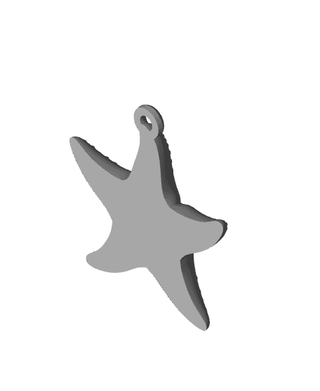 Star Fish Keychain.stl 3d model