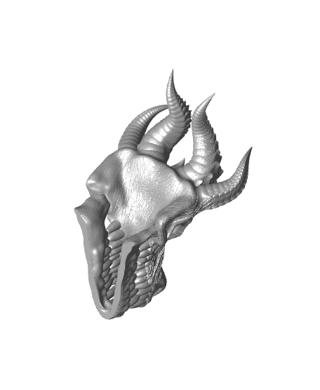 Dragon's skull 3d model