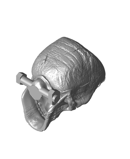 The Skull of Frankenstein 3d model