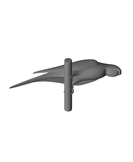 Parrot.obj 3d model