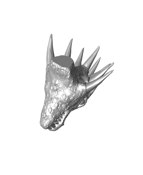Dragon Head Wall Decor 3d model