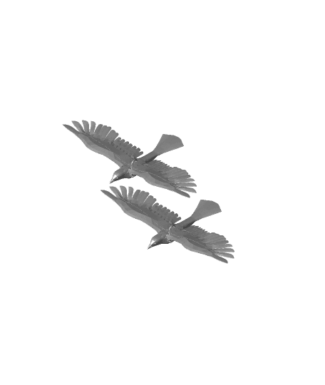 Two white doves  3d model