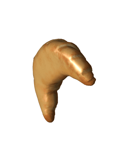 Croissant 3d model