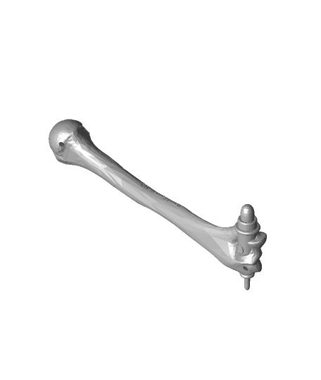 humerus Bone Reflex Hammers.stl 3d model