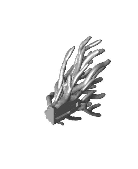 Coral  | Wall Mounted 3d model