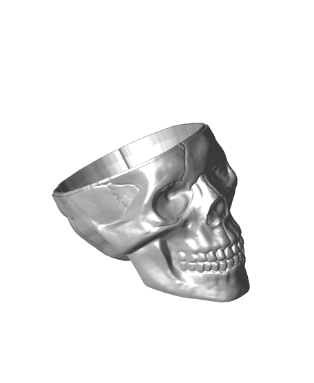 Skull Stash with Lid 3d model