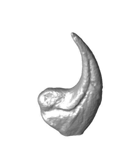 Thing-O-Saurus Claw wIth no base and a flat bottom 3d model