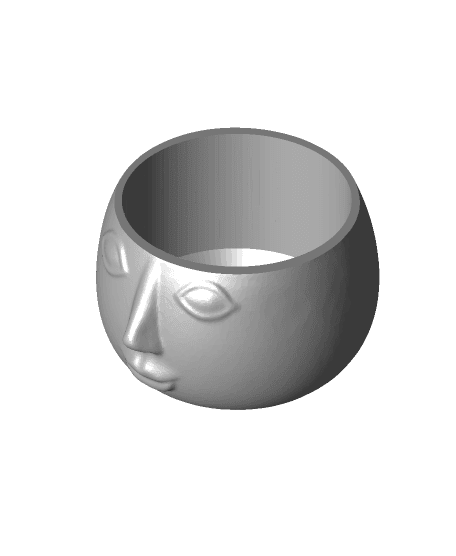 FacePot_PrintStart3D.stl 3d model