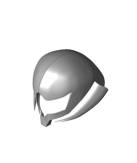 Fusion Helmet 3d model