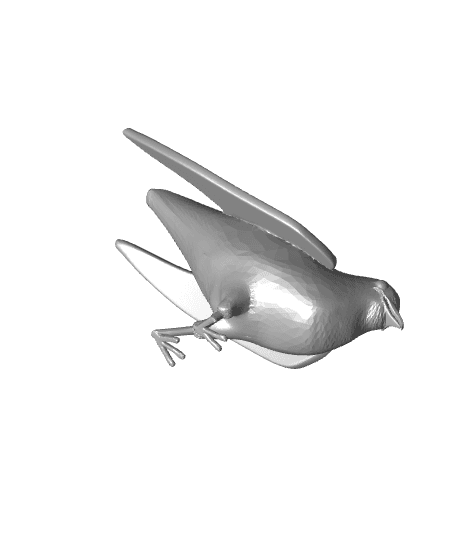 cocoo kuckuck 3d model