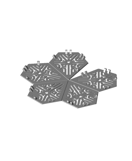 Folding Pentagonal Hexacontahedron Puzzle 3d model