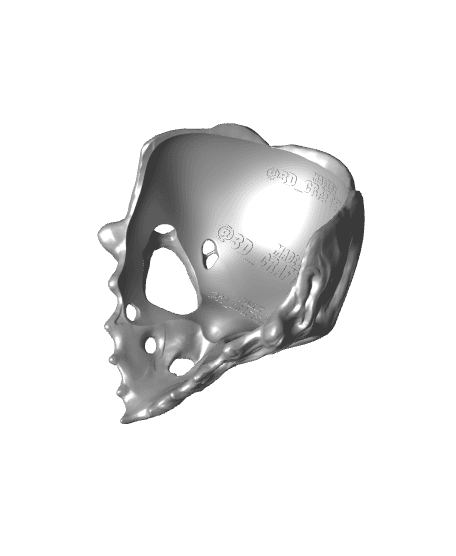 Skull Bird Bone Halloween  Scary Mask 3d model
