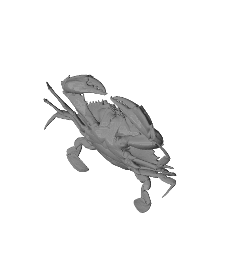 Realistic Blue Crab 3d model