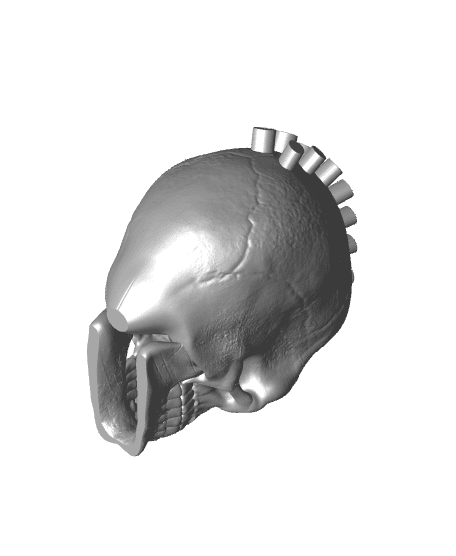 Rasta Skull 3d model