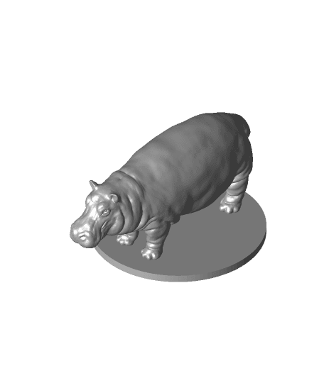 Hippopotamus 3d model