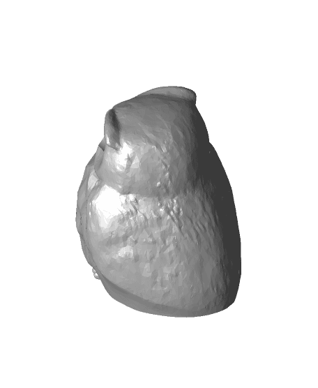 Little Owl (separate push-in-place eyes) 3d model