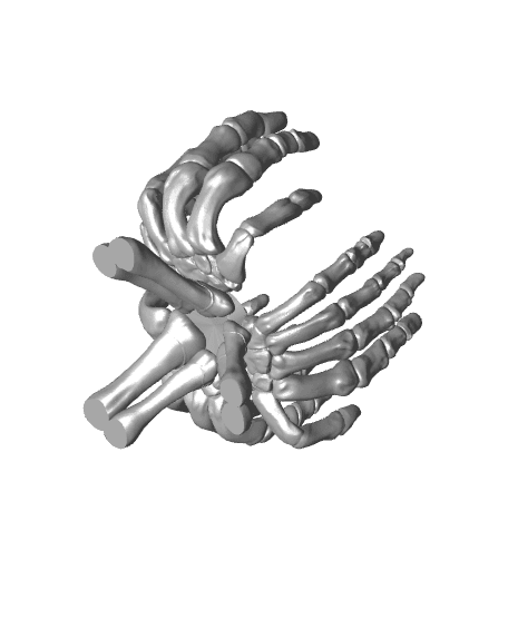 Skeleton Hands Display for Funko Pop Box 3d model