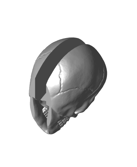 AVATAR: The Last Airbender Skull 3d model