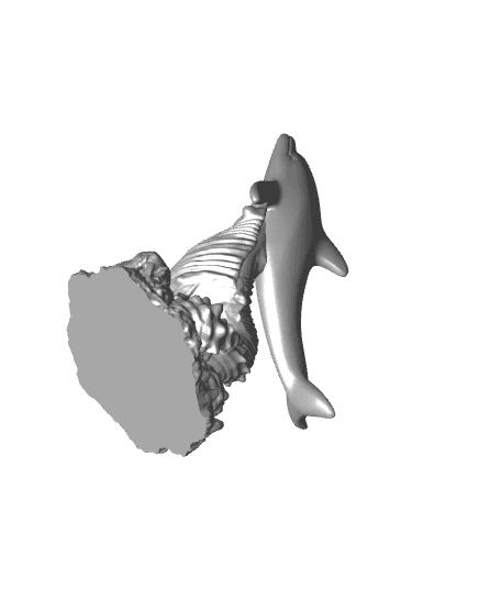 Dolphin seeshell 22 3d model