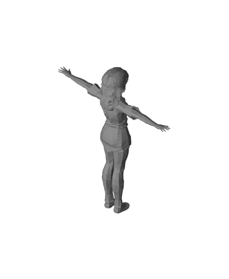 Lin 3d model