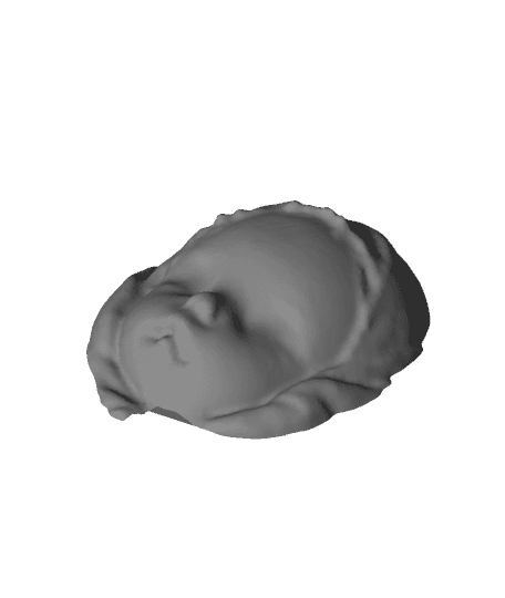 Baby face（generated by Revopoint POP） 3d model