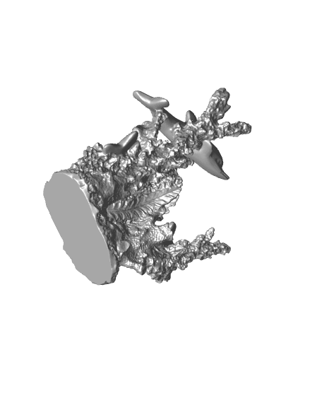 Dolphin Coral 1 3d model