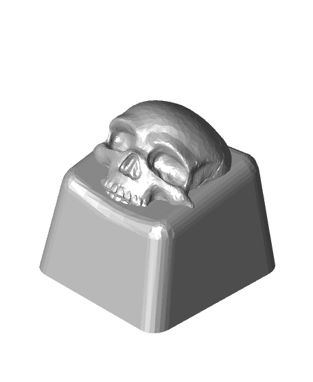 skull keycap.stl 3d model