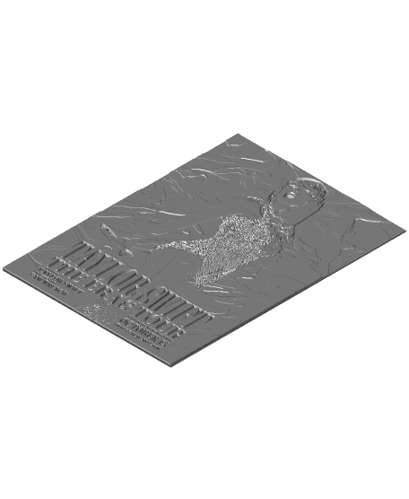 Taylor Swift The Eras Tour Poster - Hueforge Wall Mountable Frame Compatible 3d model