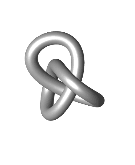 Torous Knot Bundle (3 Designs) 3d model