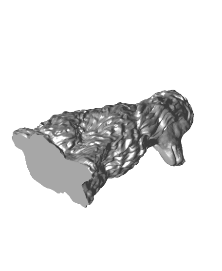 poodle 3d model